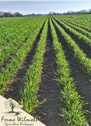 Winnaar van de prijs “CERES – Landbouw in transitie“ 2026: “La Ferme Wilmots”