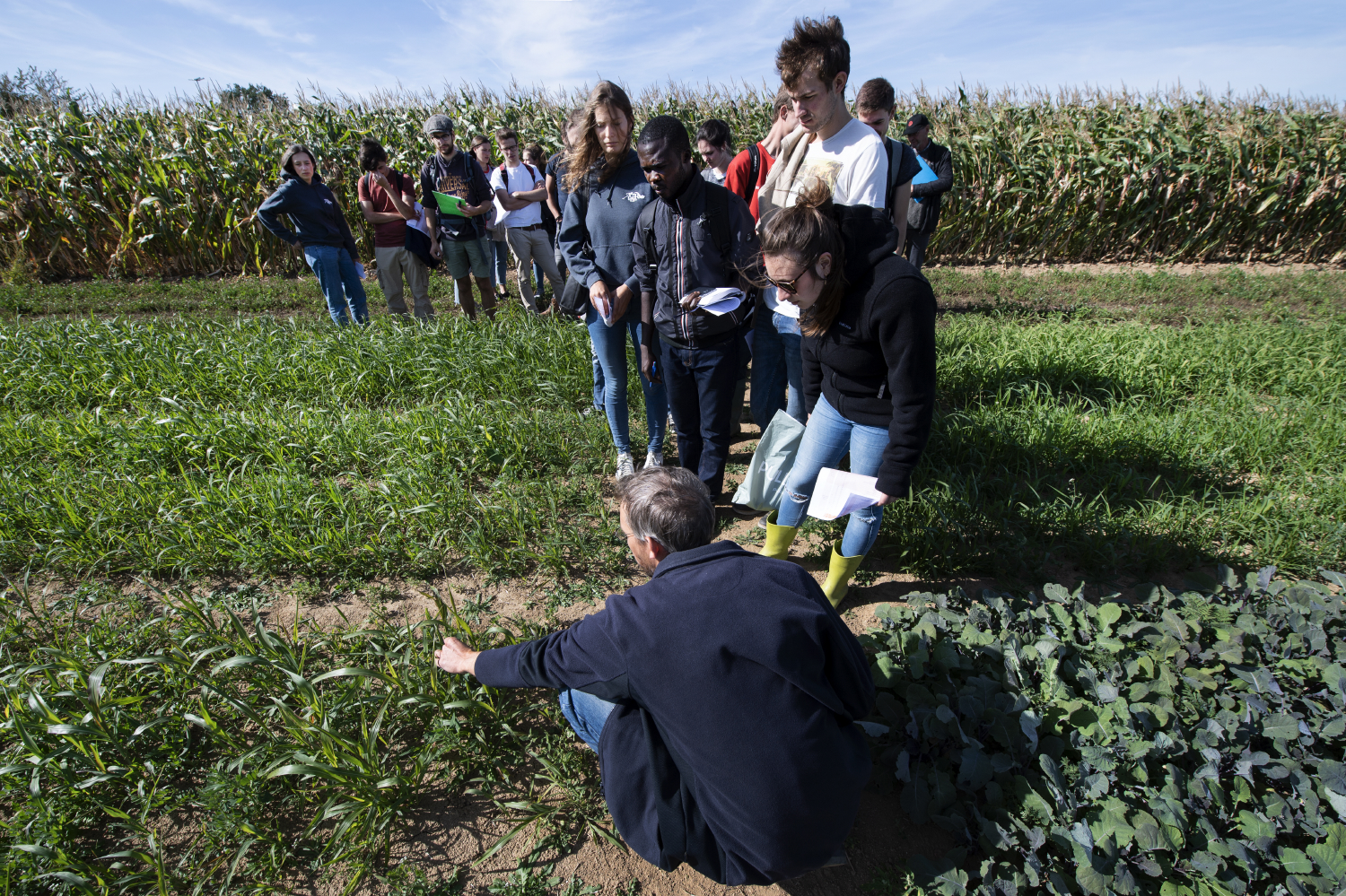Agricultures Nouvelles