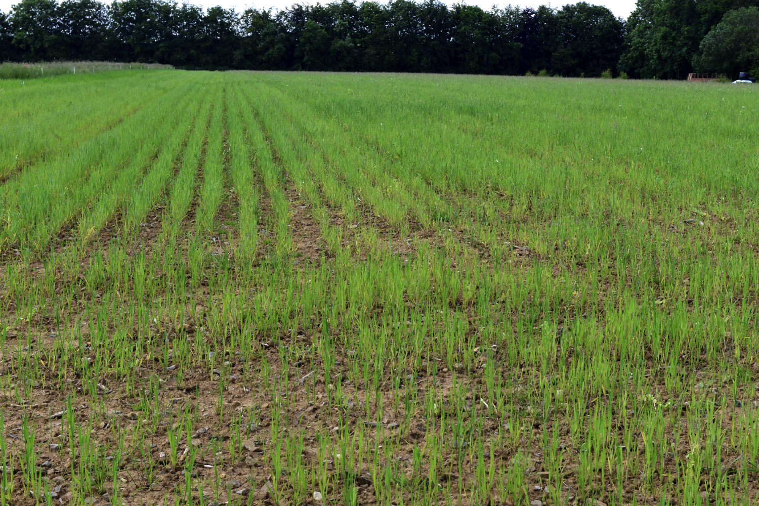 Appel à projets de transition agricole et alimentaire 