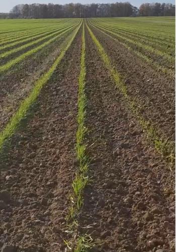 Winnaar van de prijs “CERES – Landbouw in transitie” 2026: “La Ferme Wilmots”.