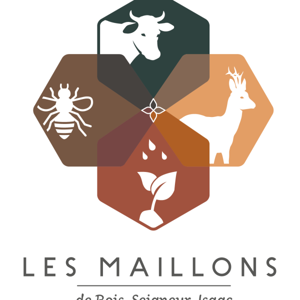 Maillons