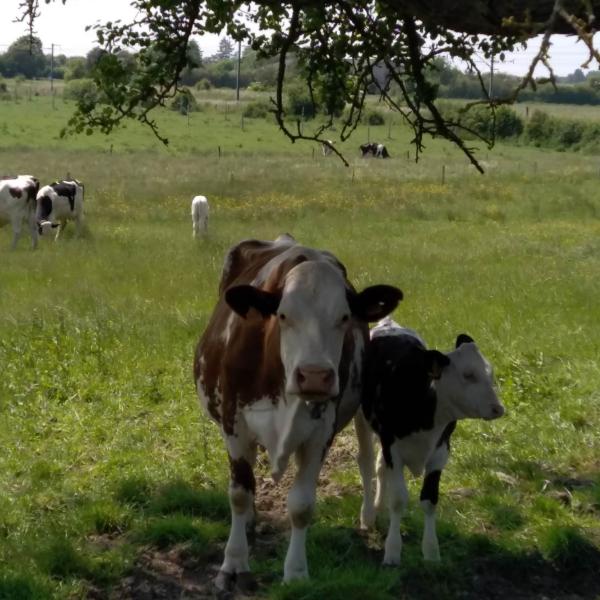 Agricultures