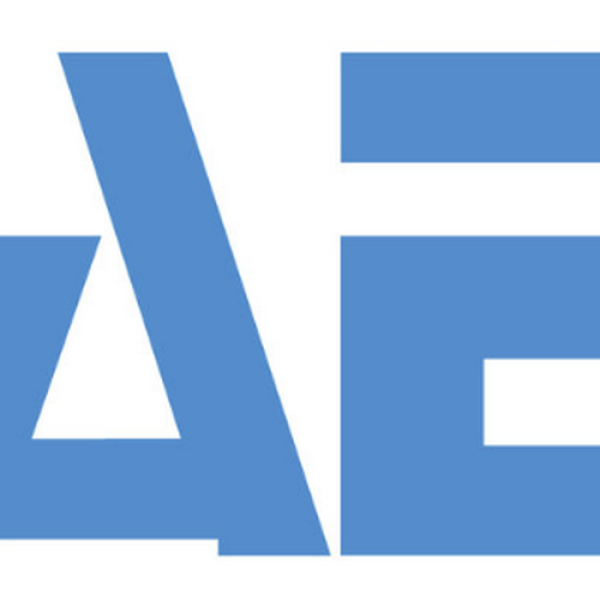 BAE foundation