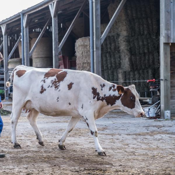 Agricultures