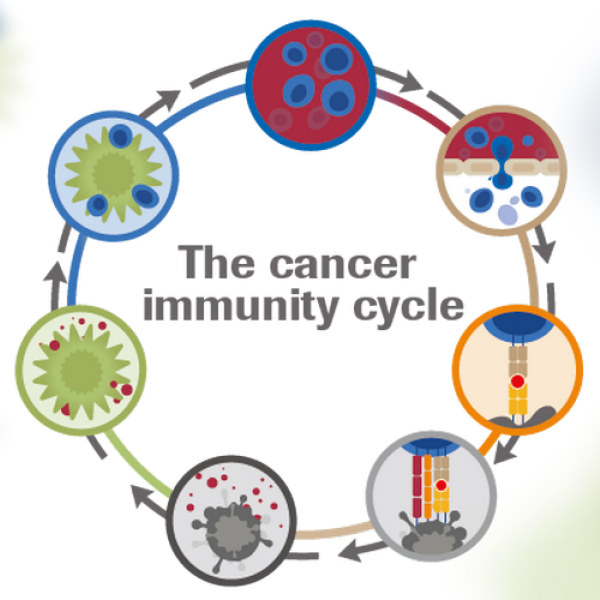 Immunotherapy of cancer